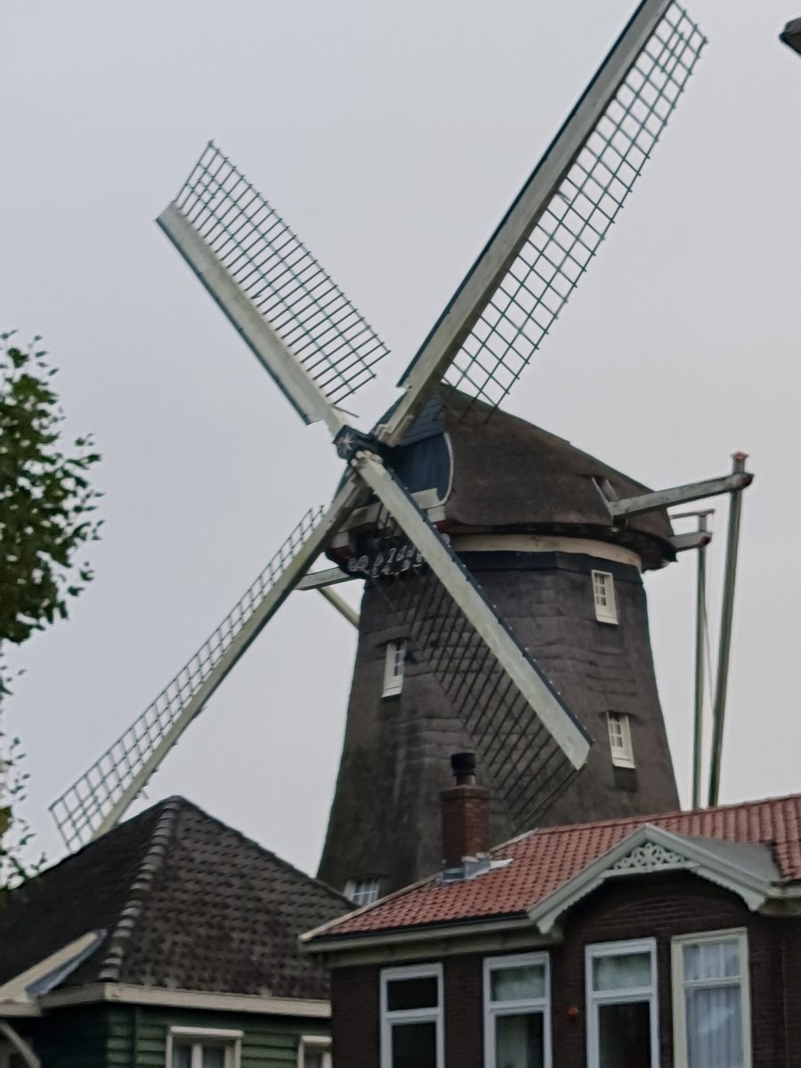 De jonge dikkert